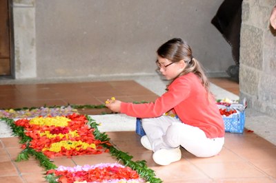 DSC 4576