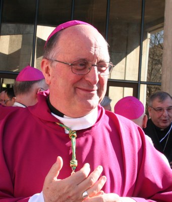 Mgr Rassemblement Lourdes 2012 206